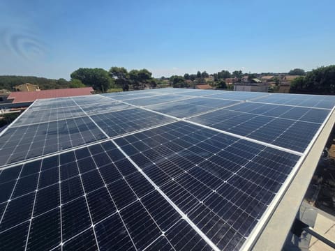 Primo piano di file di moduli fotovoltaici sotto un cielo azzurro, con tetti e alberi all'orizzonte.
